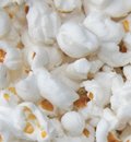 White Popcorn, 1 3/4 Lb Pack, Yankee Traders Brand