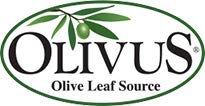 Olive Leaf Tea - Certified Organic - Non-GMO Herbal Tea Bags (100 count) - Sourced from Spain and Manufactured in USA - Antioxidant Immunity