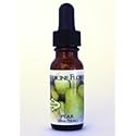 Flavor Extract Natural Pear Culinary Use By Medicine Flower