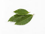 Bay Laurel Leaves