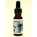 Flavor Extract Natural Plum for Culinary Use By Medicine Flower