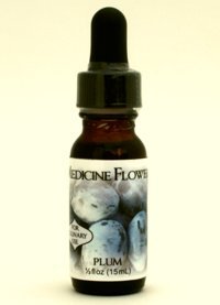 Flavor Extract Natural Plum for Culinary Use By Medicine Flower