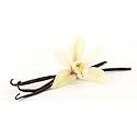 Organic Madagascar Vanilla Bean Pods - Whole Bourbon-Madagascar Beans for Baking - Cooking - Non-GMO - Kosher - Grade A - 3 beans