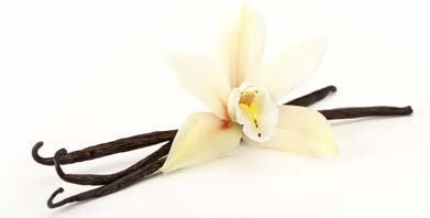 Organic Madagascar Vanilla Bean Pods - Whole Bourbon-Madagascar Beans for Baking - Cooking - Non-GMO - Kosher - Grade A - 16 beans