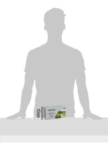 Girnar Instant Chai Express Premix, 10 Sachet Pack