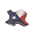 Texas Flag Pecan Gift Tin | Milk Chocolate Pecans | Chocolate Toffee Pecans | Cinnamon Pecans | 1 lb | Millican Pecan since 1888 | San Saba, Texas