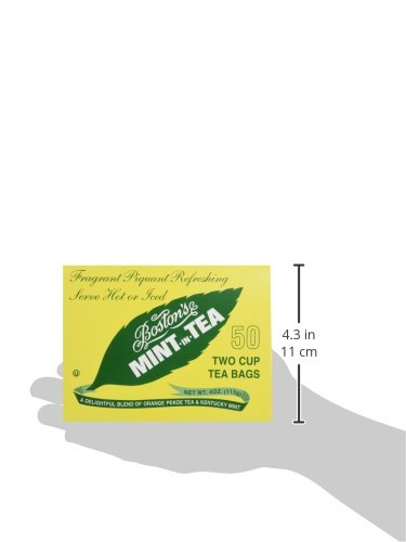 Boston's Mint-In-Tea Two Cup Tea Bags - 50 CT