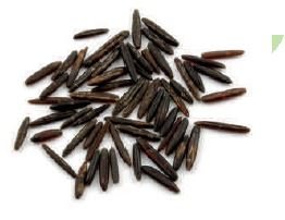 Wild “A” Rice -25Lbs