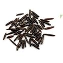 Wild “A” Rice -25Lbs