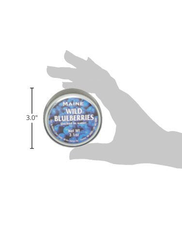 Authentic Wild Maine Blueberries Packed in Water. 3.5-ounce can - Great for Baking in Muffins and Pancakes (12 Pack)