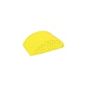 Masonry Sponge Turtleback