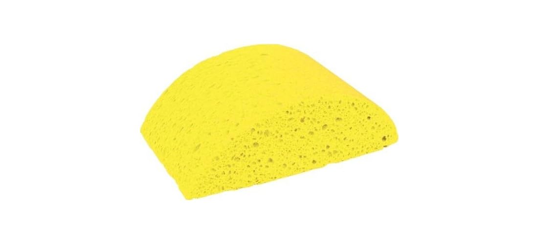 Masonry Sponge Turtleback