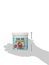 Bad Air Sponge Odor Neutralant Neutralizes and Absorbs Odors 14oz (Pack of 3)