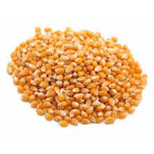Yellow Popcorn - 50 lb. package, 1 per case