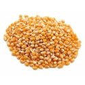 Yellow Popcorn - 50 lb. package, 1 per case