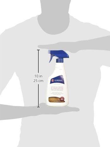 Guardsman 16OZ Stain Eliminator Liquid Laundry Detergent, Unscented, 12 Count