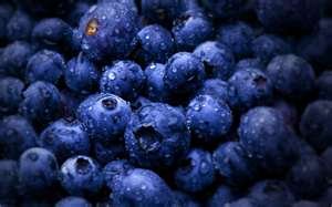 Virgin Extracts (TM) Pure Premium Organic Freeze Dried Blueberry Powder Extract 4:1 Concentrate (4 X Stronger) Superfood 8oz Pouch