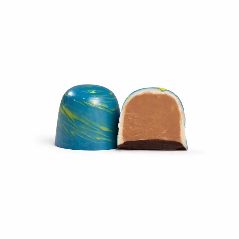 OMNIYA Delicacy Artican Chocolate Bonbons with Gourmet Fillings, Luxurious Dessert Gift for Birthdays, Special Occasions, Celebrations, Holidays