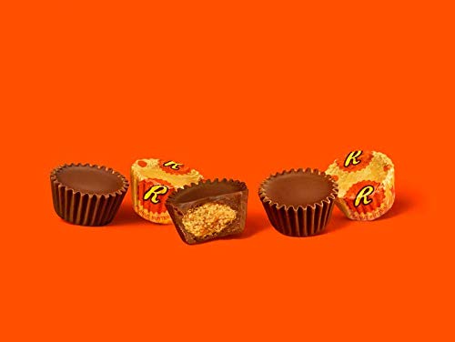 Mini Peanut Butter Cups - 2 Pound Bag - Bulk Chocolate - Individually Wrapped Chocolates - Queen Jax - Reeses Peanut Butter Cups Mini - Miniature