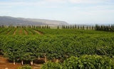 Hawaii's 1st Coffee Store - Kona Pure Ecstasy in Keurig Compatible Cups (12 ea. per pack)