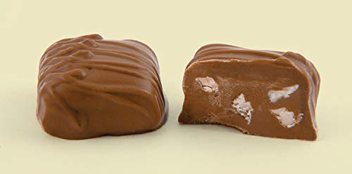 Gourmet Chocolate Bulk Individually Wrapped (Milk Chocolate Pecan Melt-Away, 12 Count)