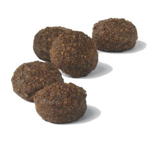 Wellbee's Gluten Free Cookies - Paleo Friendly & SCD Approved (Fudge Bites)