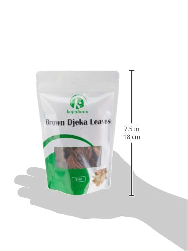 KOPABANA Brown Djeka Leaves | ogymama | Alchornea Cordifolia Dry Leaves | Christmas Bush | V steam Herbs | Yoni Care 1.5 oz