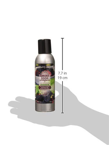 Smoke Odor Exterminator Mulberry & Spice 7 Oz