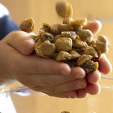 The World's Tiniest, Most Irresistible Chocolate Chip Cookies - Be The Party Favorite & Give The Gift Of Gourmet Microchips - 10oz Fresh Mini Cookies