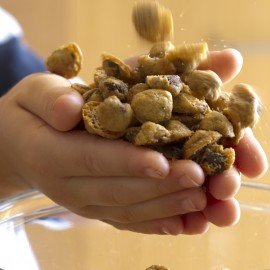 The World's Tiniest, Most Irresistible Chocolate Chip Cookies - Be The Party Favorite & Give The Gift Of Gourmet Microchips - 10oz Fresh Mini Cookies
