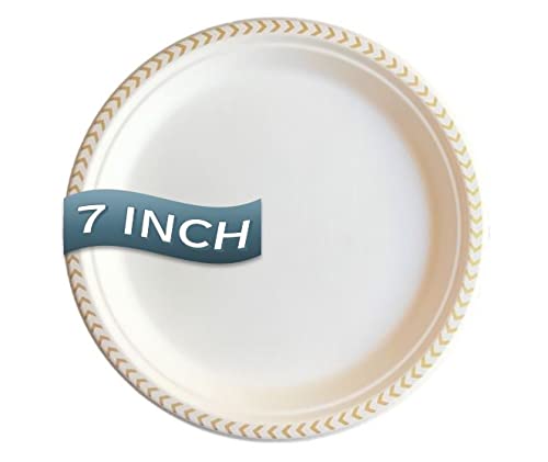 The Fancy Dime Disposable Plate: Heavy Duty Elegant Eco Friendly Compostable Paper Plates (50 Count), Tree Free Sugarcane Bagasse Plate with Color
