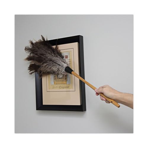 Boardwalk Professional Ostrich Feather Duster, 16" Wood Handle, Hanging Hole, Lightweight, Comfortable, Attracts & Hold Dust