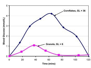 Lizi's Granola Original