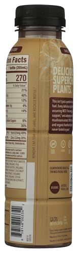 Rebbl Organic Hazelnut Chocolate Protein, 12 FZ