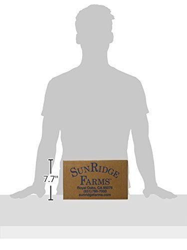 Sunridge Farms Candy, Peanut Butter Chocolate Malt Balls, 10 Pound