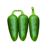 Green Jalapeno Pepper Flakes by Magic Plant, 1 LB Bulk - Fine Ground Chili - Popular and Versatile | Staple in Mexican Cuisine | Mild - Medium Heat |