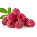 Fresh Frozen Organic Heirloom Raspberries by Northwest Wild Foods - Healthy Antioxidant Fruit Diet - for Smoothies, Pies, Jams, Syrups (4.5 Pounds)