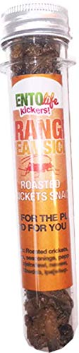 Mini-Kickers - Roasted Crickets (Full Set of 10)