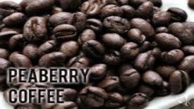100% Kona Coffee PEABERRY - Whole Bean, Almost Dark roast, Single estate gourmet coffee, 8 ounces, ships direct from Domain Kona Coffee, farm fresh