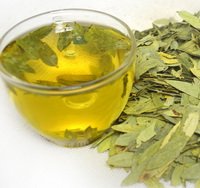 Senna Leaf - Senna alexandrina Dried Loose Leaf 100% from Nature (16 oz)
