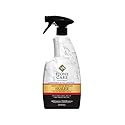 GRANITE STONE SEALER24OZ