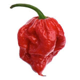 Carolina Reaper Flakes (8 Oz)