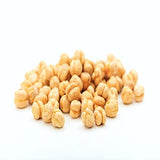 NY Spice Shop Chickpeas Roasted and Unsalted - 5 Pound Dried Crispy Crunchy Chickpeas No Salt - Bulk Healthy Snacks
