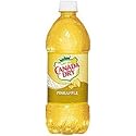 Canada Dry Pineapple Soda 20 Oz (24 Pack)