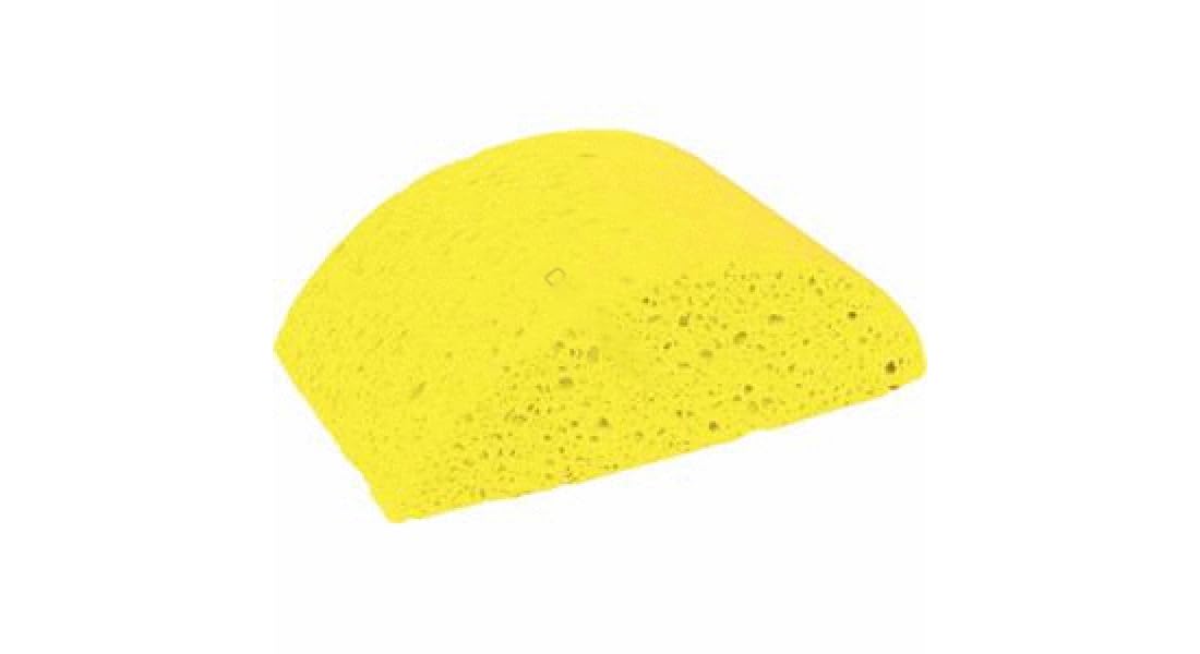 Masonry Sponge Turtleback