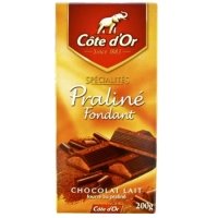 Cote D'Or Chocolat au Lait Praline Fondant 200g