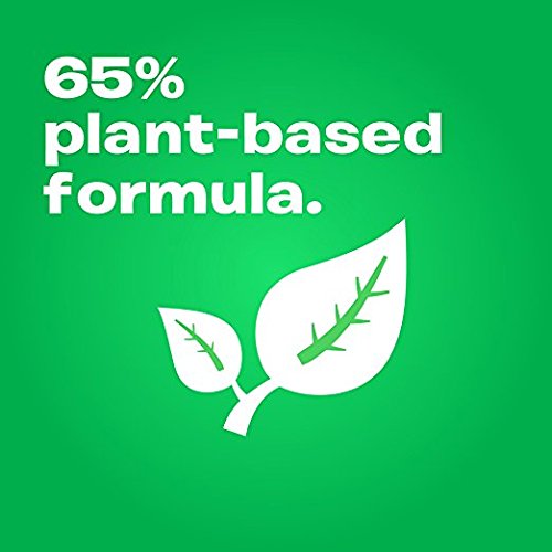 Gain Botanicals Plant Based Detergent, White Tea and Lavender, 25 Loads, 40 Fl Oz (Pack of 2)