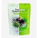 Kaneyama Seaweed Flower Salad 20g (Seaweed Flower Salad 20g 1 Pack)