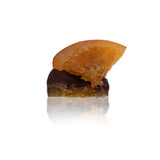 OMNIYA Delicacy - Chocolate Half Orange Slices Dark (6oz, No Added Sugar) - Candied Orange Dipped in Belgian Dark Chocolate - Vegan Gourmet Snack