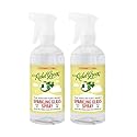 Rebel Green Sparkling Glass Spray - Streak-Free Natural Glass Cleaner for Windows, Mirrors, and Surfaces - Peppermint & Lemon Scent - 16 oz - 2 Pack